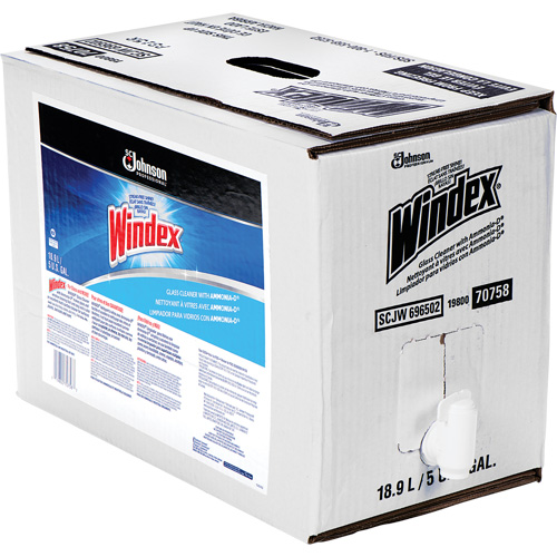 Windex&reg; Glass Cleaner with Ammonia-D&reg;, 5 gal., Bag Auto Electric Service Ltd.