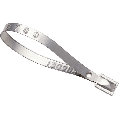 Scell&eacute;s Guard Lock, 8-3/8", M&eacute;tal, Scell&eacute; pour camion Auto Electric Service Ltd.