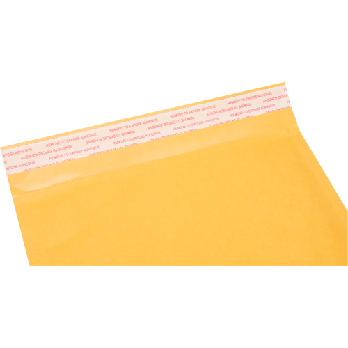 Enveloppes postales coussin&eacute;es, Kraft, 8-1/2" la x 14-1/4" lo Auto Electric Service Ltd.