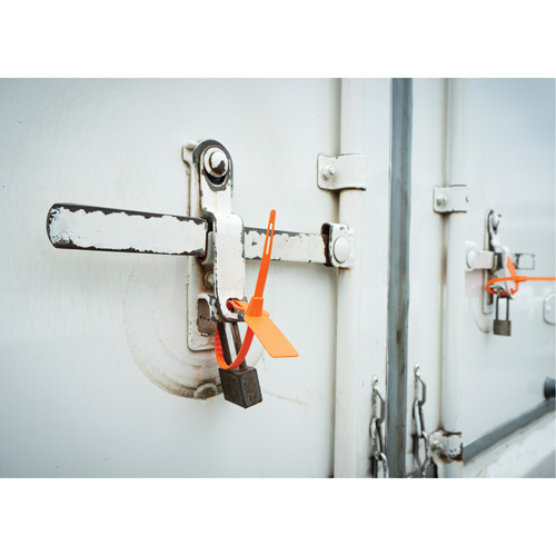 Scell&eacute; de s&eacute;curit&eacute;, 7-3/4", Plastique, Scell&eacute; pour camion Auto Electric Service Ltd.