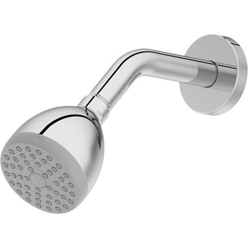 One-Function Showerhead Auto Electric Service Ltd.