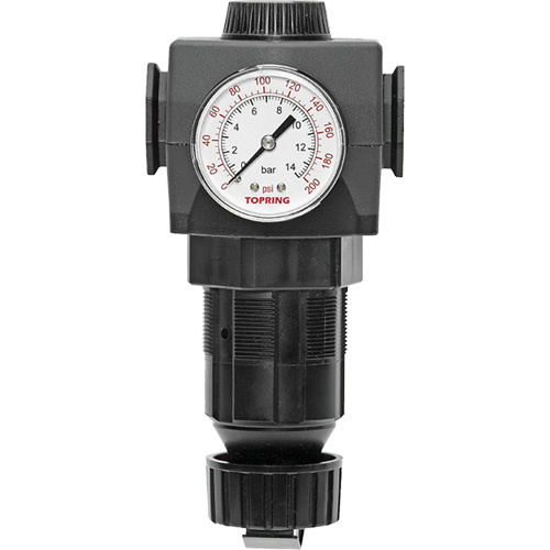 Regulator with Gauge Modulair 400, 3/4" NPTF, 125 PSI Max. PSI, In Line/Modular Auto Electric Service Ltd.