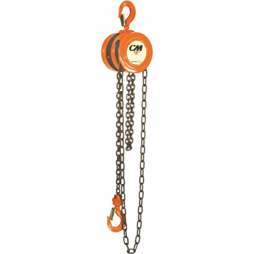 Chain Hoist, 10' Lift, 1000 lbs. (0.5 tons) Capacity, Steel Chain Auto Electric Service Ltd.