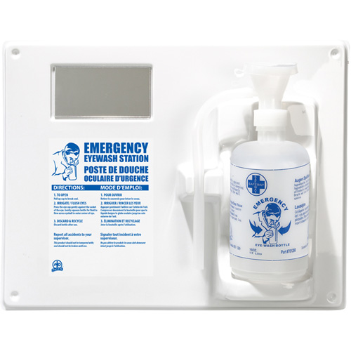 Poste de douche oculaire - Poste simple a/bouteille vide Auto Electric Service Ltd.