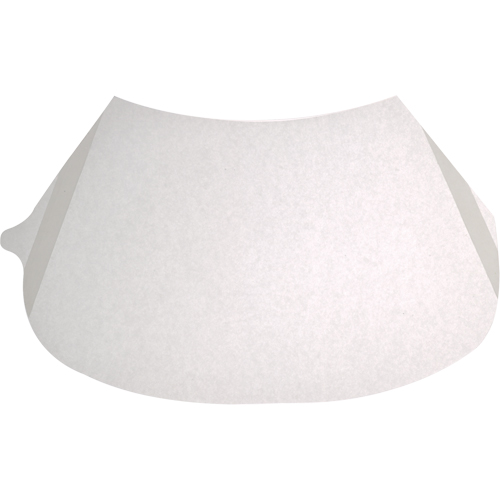 Protecteurs de lentille transparent d&eacute;collable Auto Electric Service Ltd.