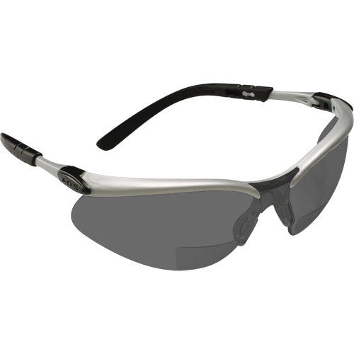 Lunettes de s&eacute;curit&eacute; BX avec verres de lecture, Antibu&eacute;e, Grise/fum&eacute;e, Dioptrie 2,0 Auto Electric Service Ltd.