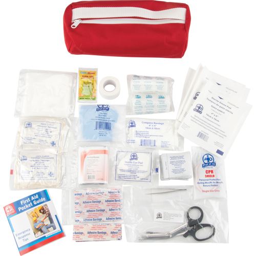 Trousse de premiers soins, Dispositif m&eacute;dical Classe 1, Sac en nylon Auto Electric Service Ltd.