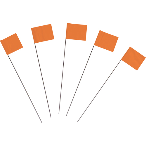 Drapeaux de marquage Auto Electric Service Ltd.