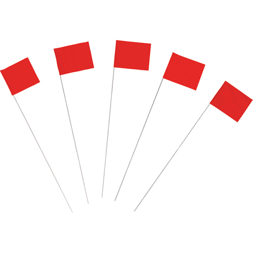 Drapeaux de marquage Auto Electric Service Ltd.