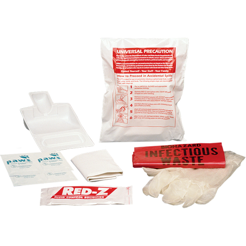 Fluid Spill Clean-Up Kit, Hazmat, Bag Auto Electric Service Ltd.