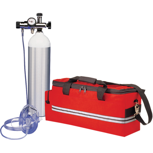 Oxygen Therapy Kits Auto Electric Service Ltd.