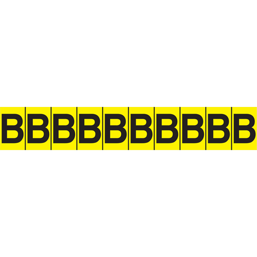 Rep&egrave;res adh&eacute;sifs &agrave; lettres individuelles, E, 1" h, Noir sur jaune Auto Electric Service Ltd.
