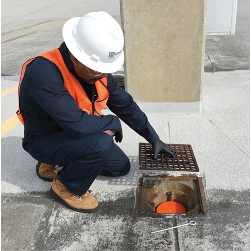 Drain Plug Auto Electric Service Ltd.