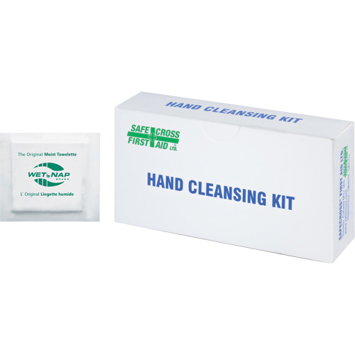 Hand Cleansing Moist Wipes, Towelette Auto Electric Service Ltd.