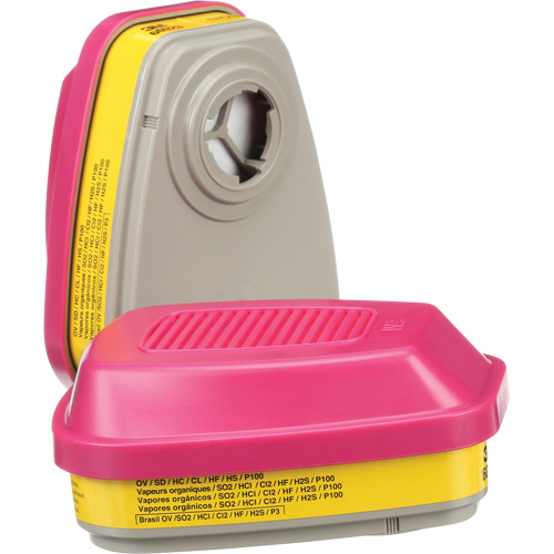 6000 Series Respirator Cartridges, Gas/Vapour Cartridge, Organic Vapour/Acid Gas/P100 Auto Electric Service Ltd.