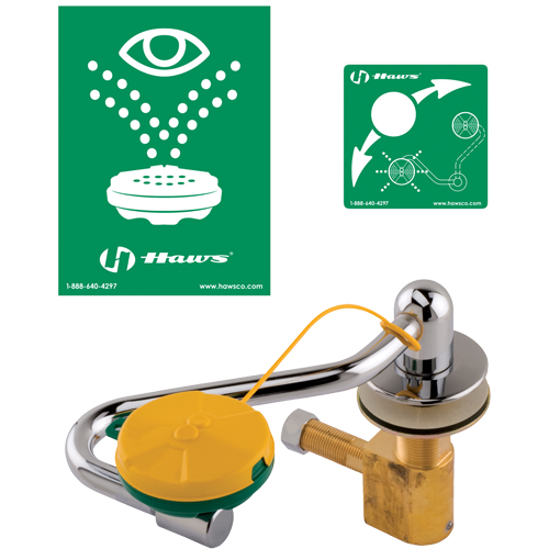 Poste de douche oculaire/faciale, Installation Montage sur &eacute;vier Auto Electric Service Ltd.