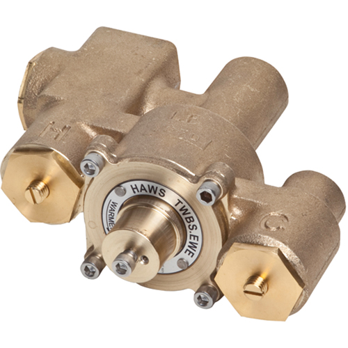 Vannes de m&eacute;lange thermostatique, 12 gal./min Auto Electric Service Ltd.