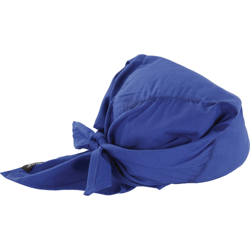 Chill-Its&reg; 6710CT Cooling Triangle Hats, Blue Auto Electric Service Ltd.