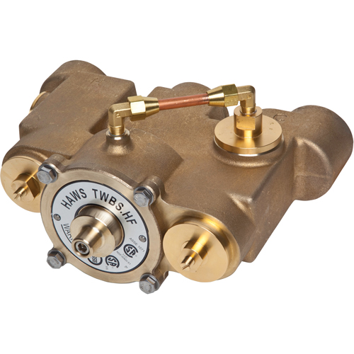 Vannes de m&eacute;lange thermostatique, 78 gal./min Auto Electric Service Ltd.