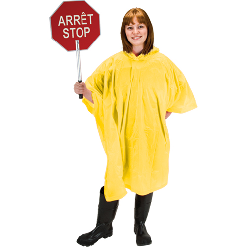 RZ Poncho Auto Electric Service Ltd.