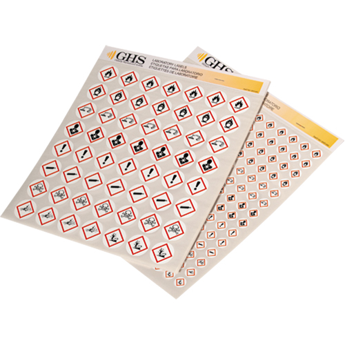 GHS Hazard Pictogram Label Variety Packs, Vinyl, Sheet, 1" L x 1" W Auto Electric Service Ltd.