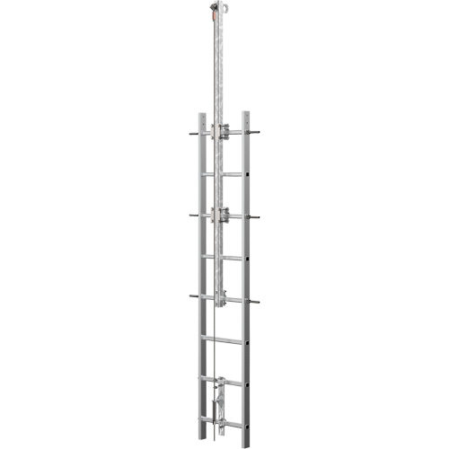 Vi-Go Continuous Ladder Climbing Safety System with Automatic Pass-Through Auto Electric Service Ltd.