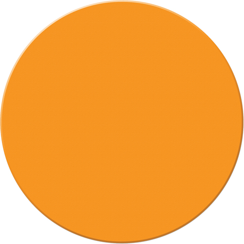 Armor Stripe Lean/5S Markers, Circle, 6" L x 6" W, Orange, Plastic Auto Electric Service Ltd.
