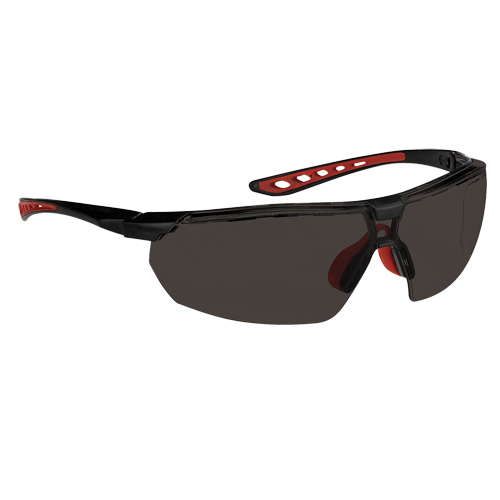 Dynamic Falcon Series Safety Glasses, Smoke Lens, Anti-Fog, ANSI Z87+/Meets/Exceeds CSA Z94.3 Auto Electric Service Ltd.