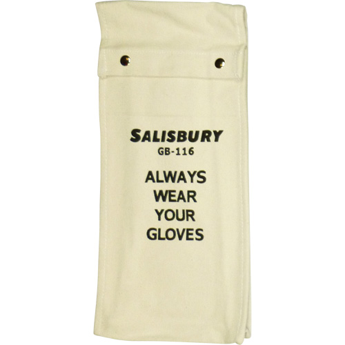Salisbury  Glove Bag Auto Electric Service Ltd.