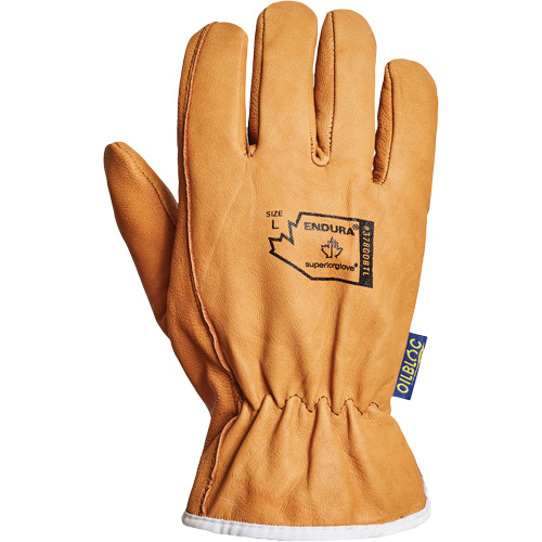 Gants de conducteur Endura, Petit, Paume en Cuir fleur de ch&egrave;vre, Thinsulate Auto Electric Service Ltd.