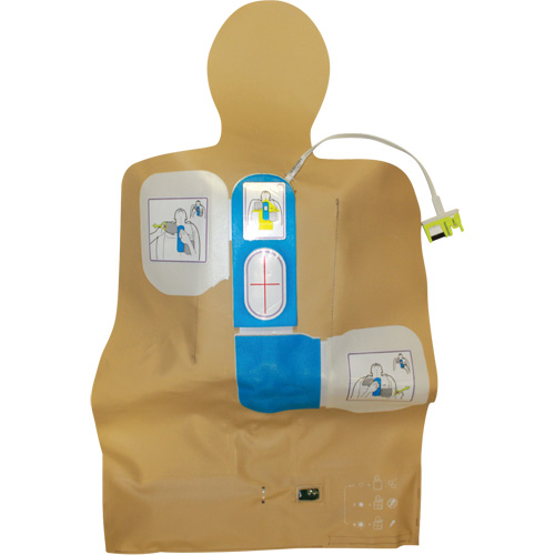 AED Plus&reg; Travel Trainer Auto Electric Service Ltd.