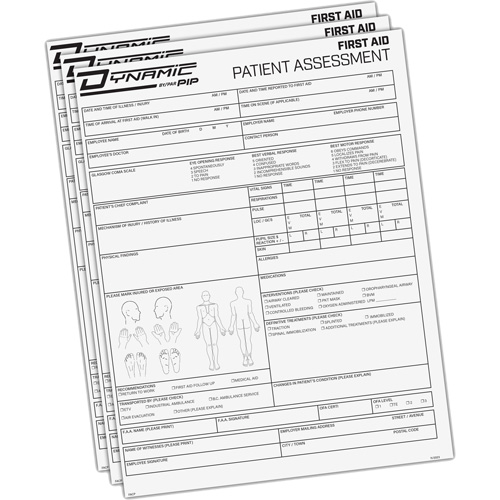 Diagramme d'&eacute;valuation du patient Dynamic Auto Electric Service Ltd.