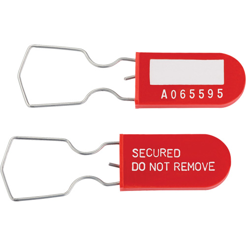 Dynamic Safety Equipment Inspection Tags, Plastic, 1" W x 2-1/4" H, English Auto Electric Service Ltd.