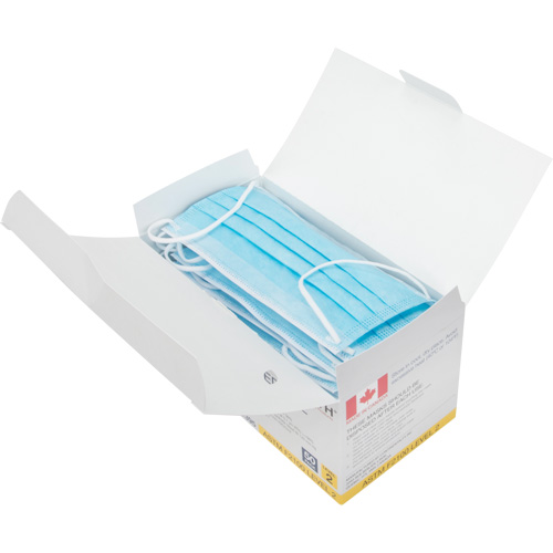 Disposable Procedure Face Masks, ASTM F2100 Level 2, Class 1 Auto Electric Service Ltd.