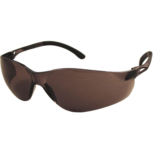 Lunettes de s&eacute;curit&eacute; Sen-Tec, Lentille Gris, Antibu&eacute;e/Anti-&eacute;gratignures, R&eacute;pond ou surpasse la norme CSA Z94.3 Auto Electric Service Ltd.