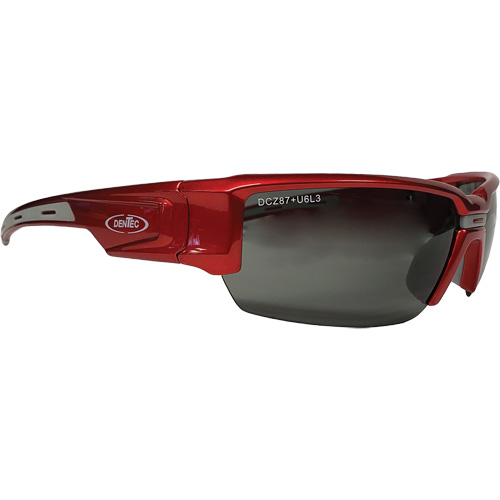 Hartley Safety Glasses, Grey Lens, Polarized, Meets/Exceeds CSA Z94.3 Auto Electric Service Ltd.