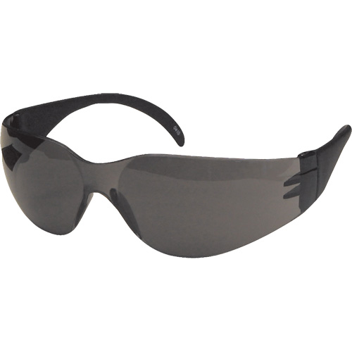 CeeTec Safety Glasses, Grey Lens, Anti-Scratch, Meets/Exceeds CSA Z94.3 Auto Electric Service Ltd.