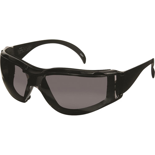 CeeTec DX Safety Glasses, Grey Lens, Anti-Fog/Anti-Scratch, Meets/Exceeds CSA Z94.3 Auto Electric Service Ltd.