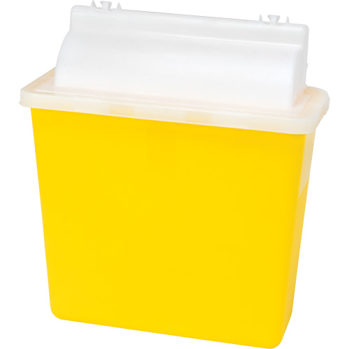 Contenant pour objets pointus et tranchants, Capacit&eacute; de 4,6 L Auto Electric Service Ltd.