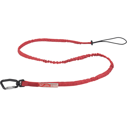 Extended Reach Locking Tool Lanyard, Bungee, Carabiner/Loop Auto Electric Service Ltd.