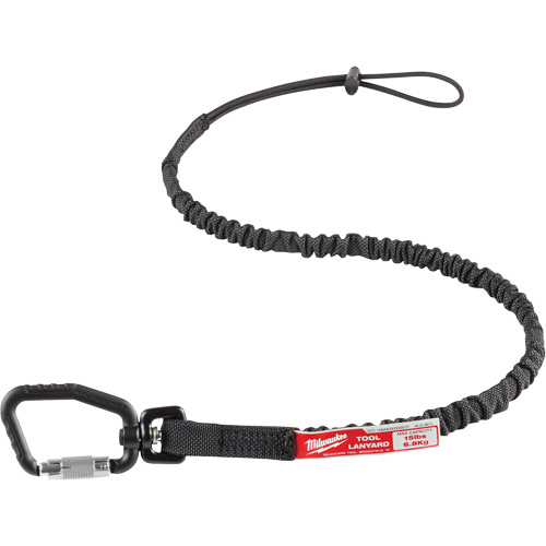 Longe verrouillable pour outils, Tendeur, Mousqueton/boucle Auto Electric Service Ltd.