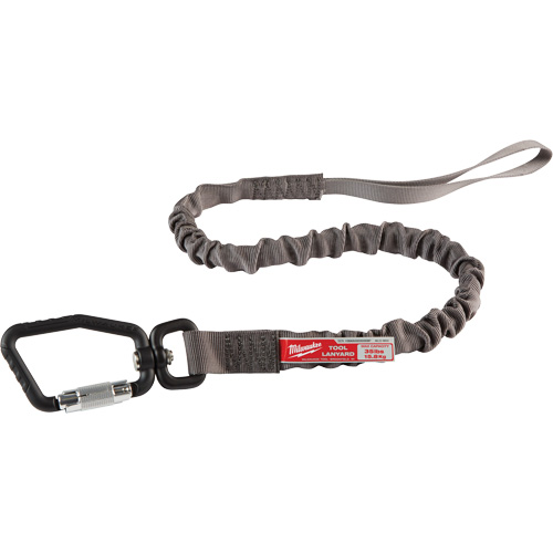 Longe verrouillable pour outils, Tendeur, Mousqueton/boucle Auto Electric Service Ltd.