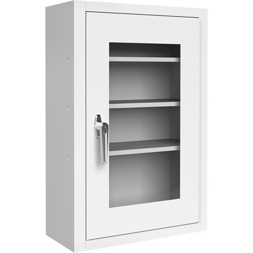 Armoire &agrave; pharmacie verrouillable avec porte en Plexiglas Auto Electric Service Ltd.