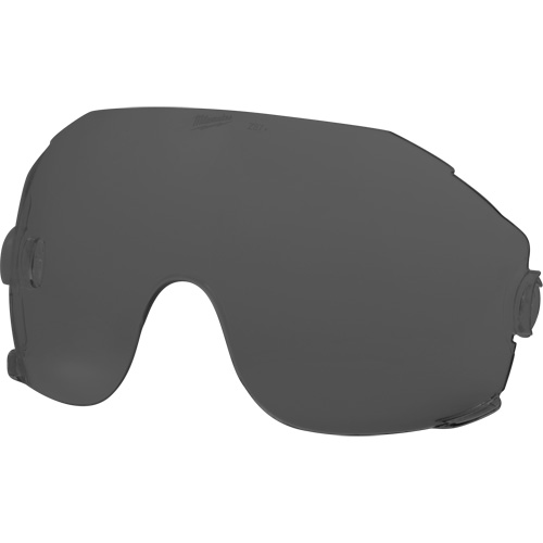Eye Visor Replacement Lenses, Grey/Smoke Tint Auto Electric Service Ltd.