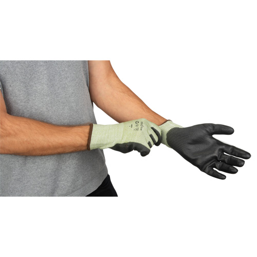 Eco-Friendly Seamless Cut-Resistant Gloves, Size 10, 13 Gauge, Polyurethane Coated, HPPE/RPET Shell, ASTM ANSI Level A4 Auto Electric Service Ltd.