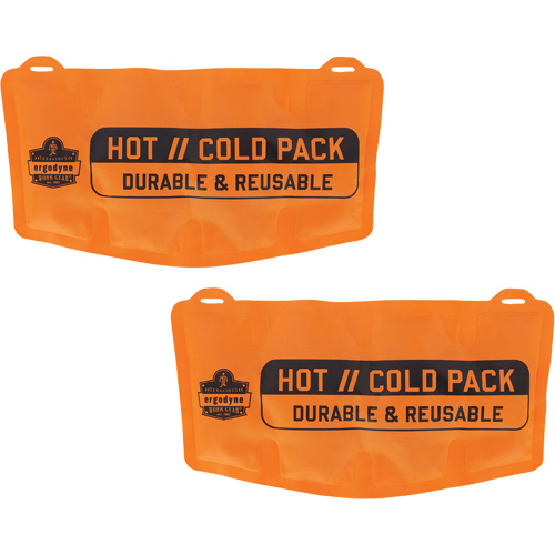 Sachets chaud/froid r&eacute;utilisables de rechange pour ProFlex 6275 Auto Electric Service Ltd.