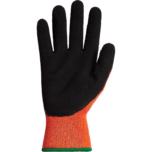 Gants d'hiver r&eacute;sistants &agrave; la coupe Dexterity TKTAGLX, Taille T-Grand, Calibre 13, Rev&ecirc;tement Latex, Enveloppe en TenActiv, ASTM ANSI niveau A3 Auto Electric Service Ltd.