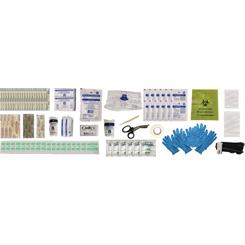 Shield First Aid Kit, Meets/Exceeds CSA Z1220-24 Type 2 Low-Risk Environment, Small (2-25 Workers) Auto Electric Service Ltd.