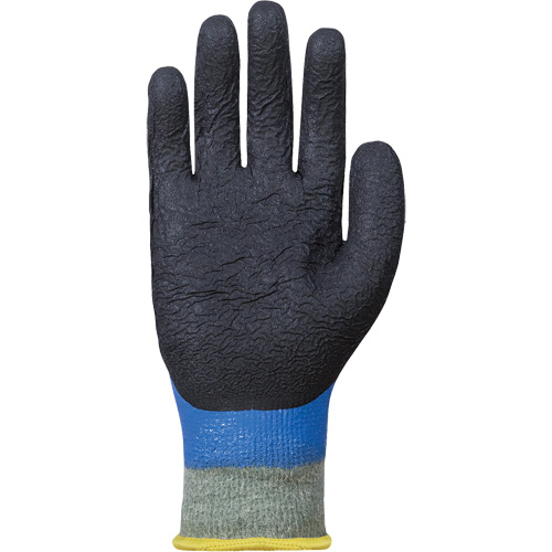Gants r&eacute;sistants &agrave; la coupe &agrave; rev&ecirc;tement double SCXPNTFC, Taille 6, Calibre 13, Rev&ecirc;tement Nitrile, Enveloppe en ParaActiv, ASTM ANSI niveau A5 Auto Electric Service Ltd.