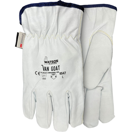 9547 Van Goat Cut Protection Gloves, X-Small, Grain Goatskin Palm, Thinsulate/Steel/Polyester/Para-Aramid Inner Lining Auto Electric Service Ltd.
